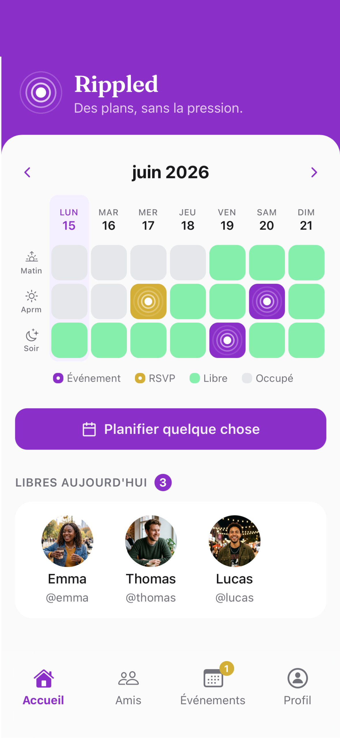 écran d'accueil rippled avec les disponibilités